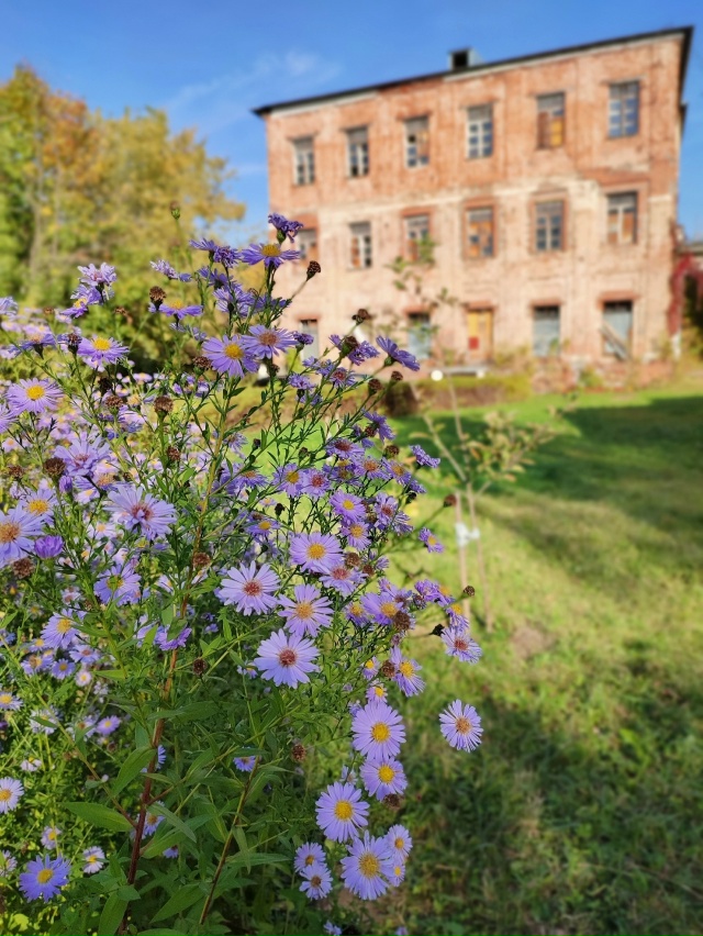 Пехра-Яковлевское🍁
