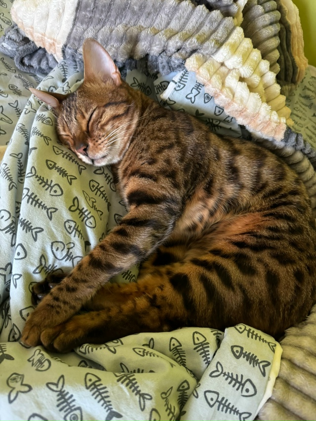 Беляная гора и ближайшие! До сих пор продолжаем поиски ...