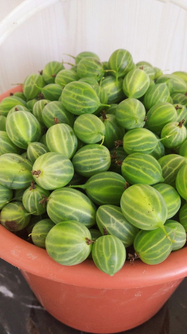 🍅 1000+ жителей города в чате Фермеры Садоводы Салавата....