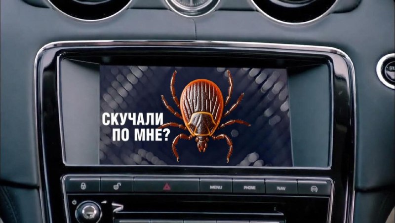 Клещи проснулись в России.
Роспотребнадзор сообщил, что в больницах уже начали фиксировать первые
