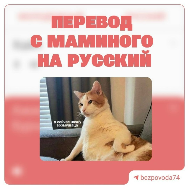 ❗️😍 Мы выросли, но мамины фразы всё еще с нами
Порой ?...