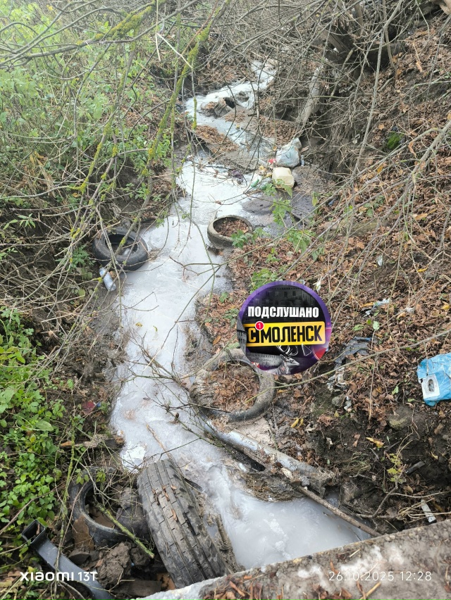 👉В Смоленскую реку Шкляная сливают отходы
В очередн...