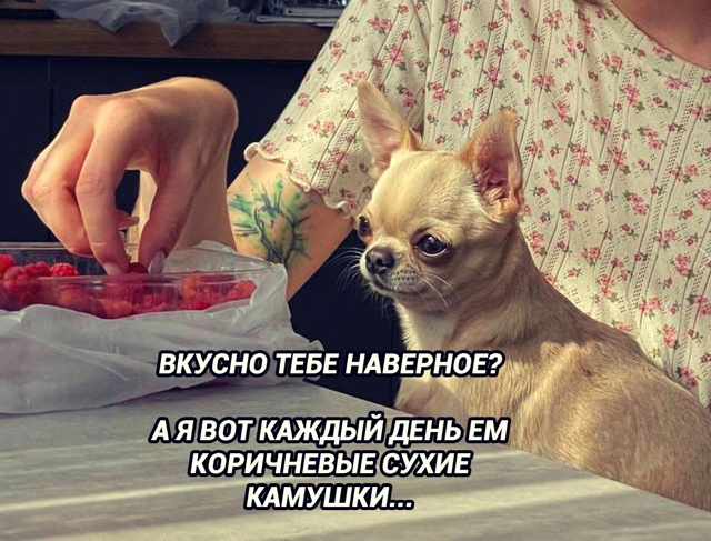 Эти ребята тоже любят ягодку