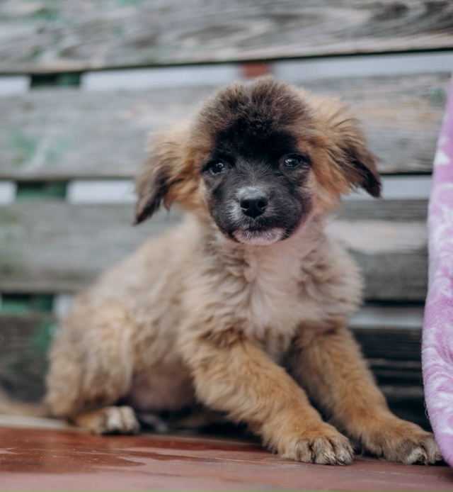 Здравствуйте! Разместите пожалуйста пост 🙏
Очень ище?...