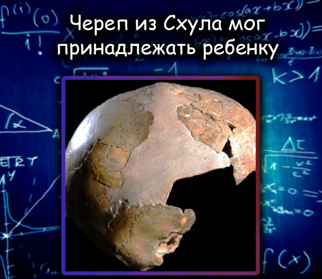Череп из Схула мог принадлежать гибридному ребёнку не?...