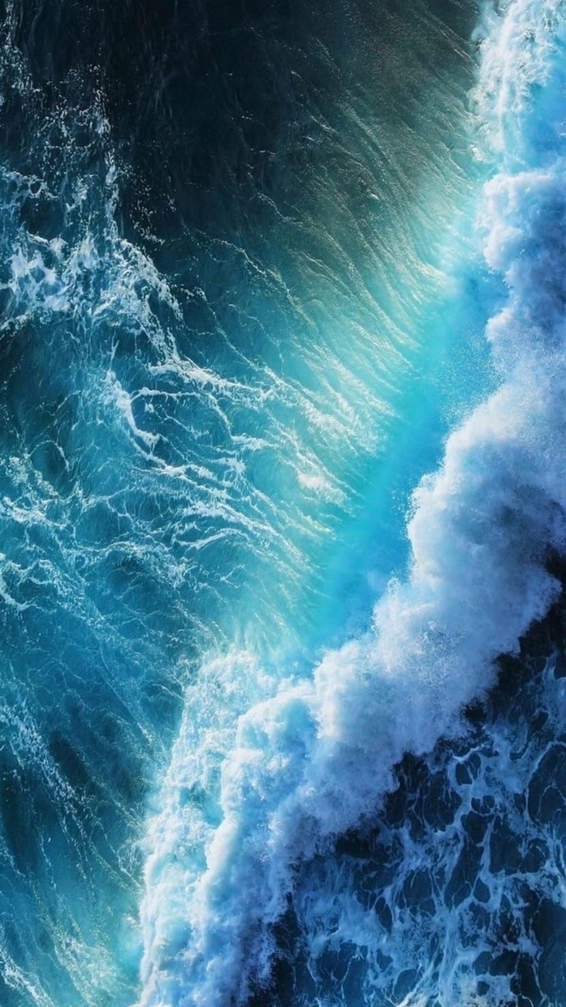 –тебе чай или кофе?
–море.