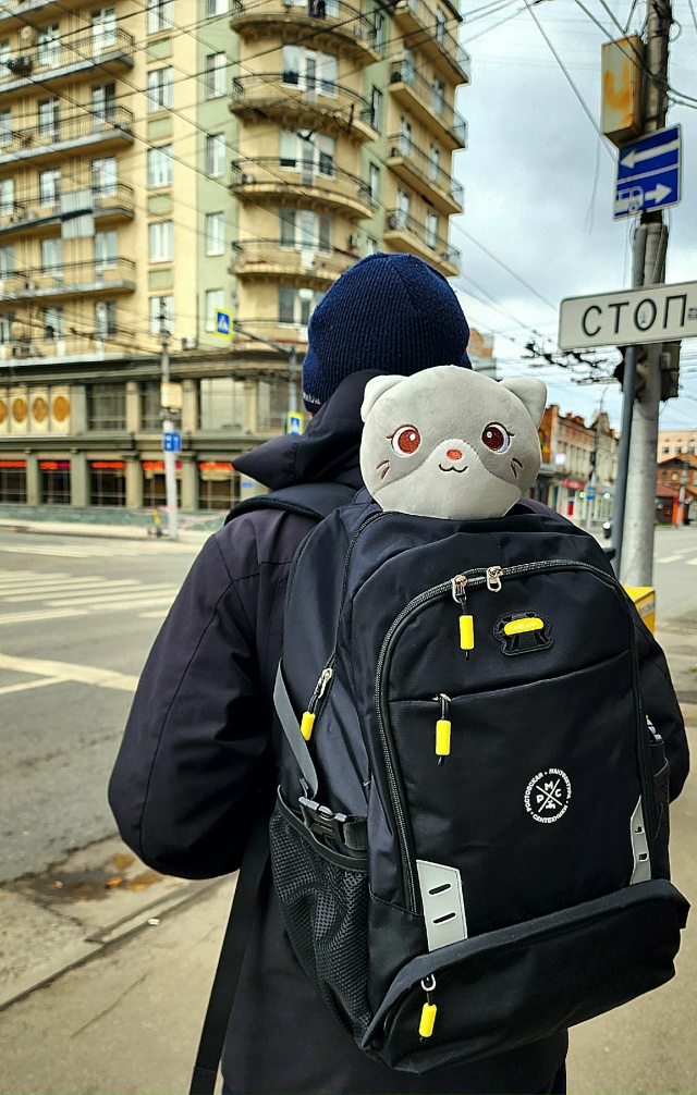 Добрый день, друзья!!!
#КотМодиВхудиOmoda