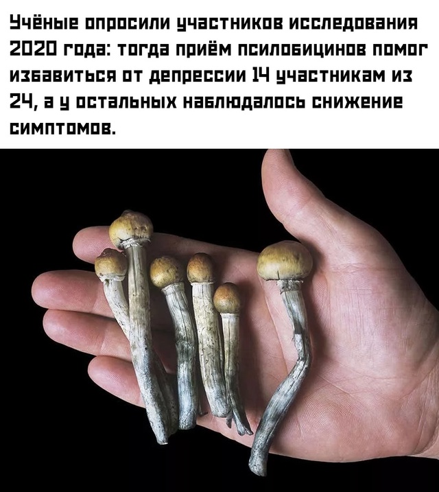 ❗ Повторный опрос участников исследования спустя 5 ле?...