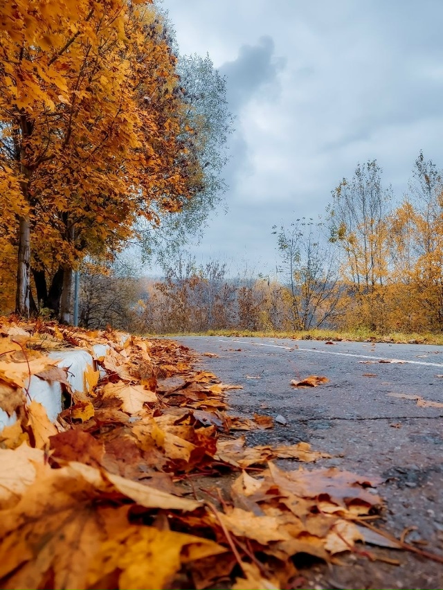 Красивый октябрь в Раменском