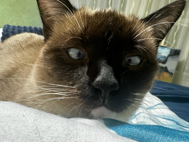 Кося чудит🫢🥹