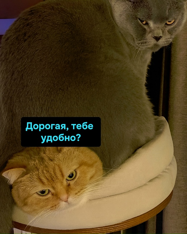Брак — это компромисс. Ты молчишь, а она делает, как хоч...