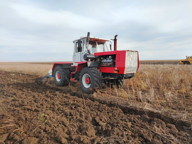 89011137429 . Продам