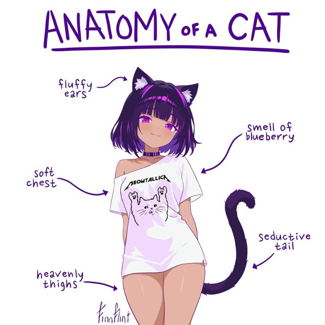 #Что_за_аниме