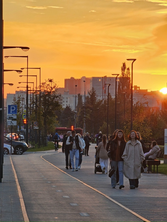 Последние лучи золотой осени ?
