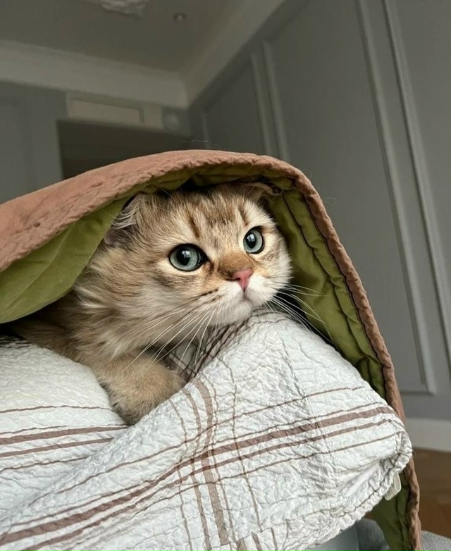 Счастье — это жить сегодняшним днём и радоваться кажд?...