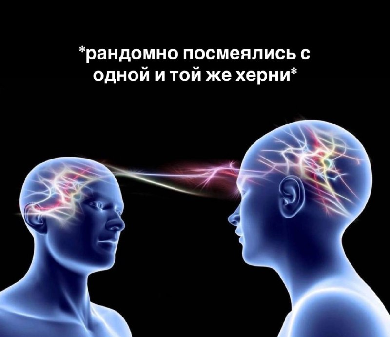 «как ты нашел лучшего друга?»