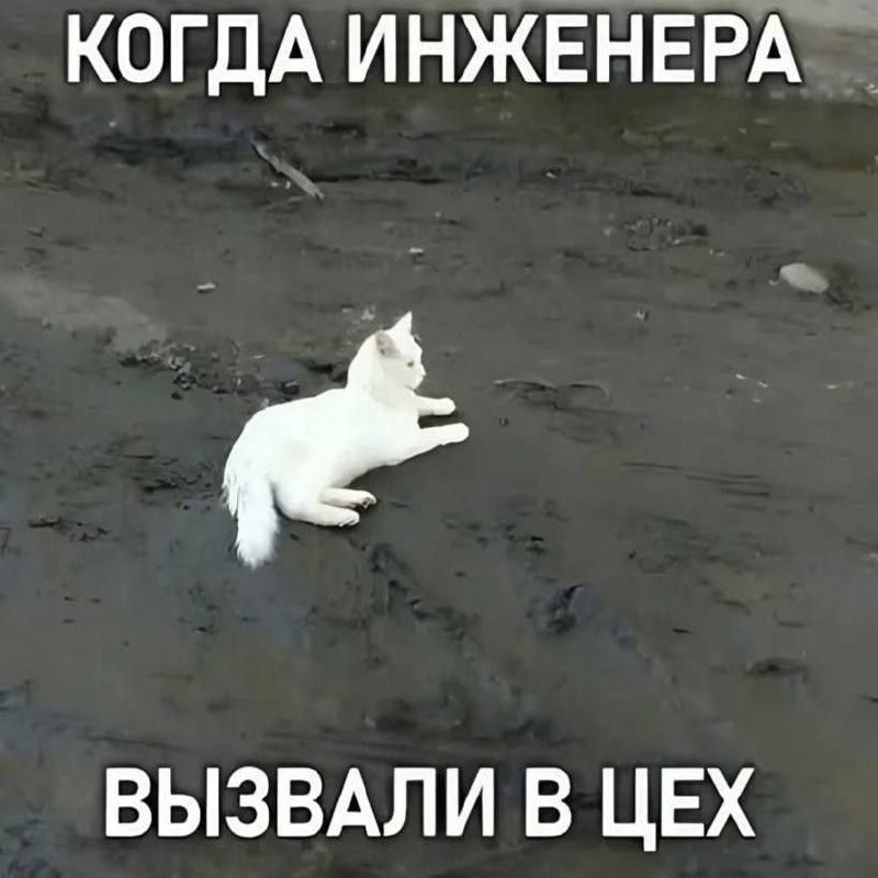 Утренняя подборочка