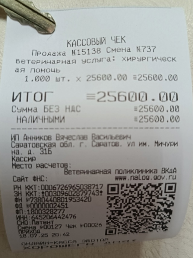 Всем привет 👋
Вчера сбитым животным были проведены оп...