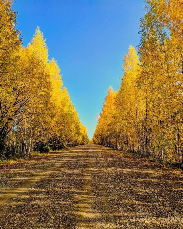 Золотая осень в Суксуне