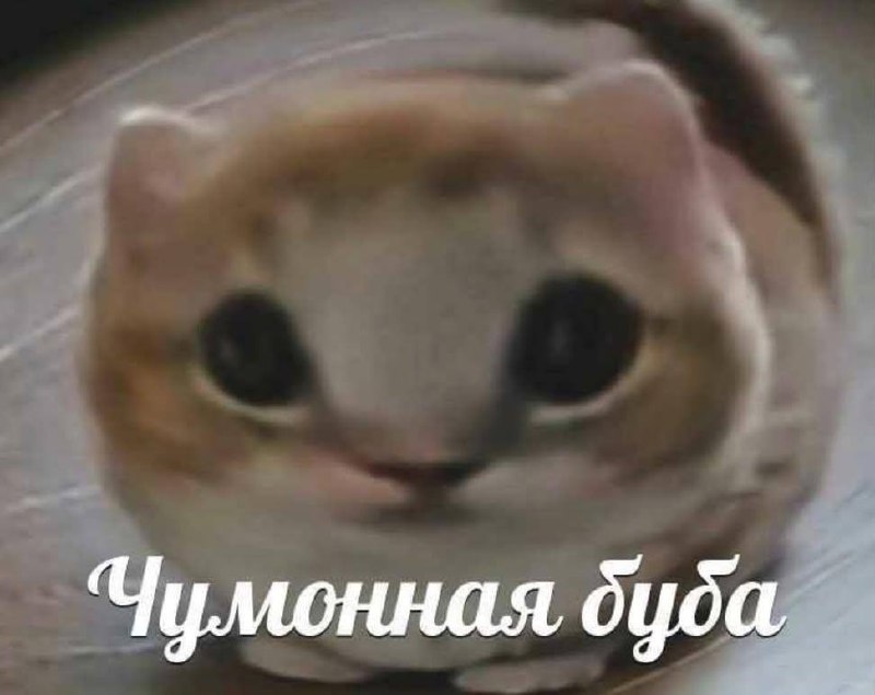 Я: только начинаю приспосабливаться к постоянным изменениям в мире
Мир: