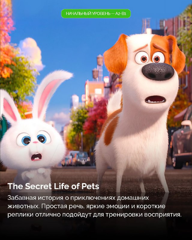 Ловите список фильмов, которые помогут вам прокачать английский — от начального до высокого уровня