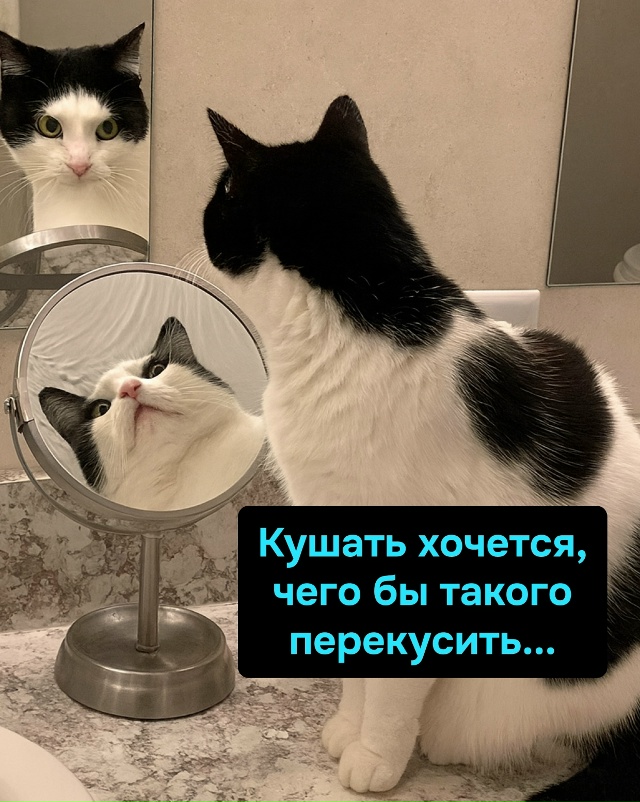 Разум говорит “суп”, сердце — “роллы, пицца”, желудо?...