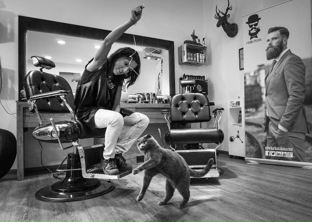 Как будем стричься?⁠