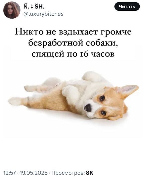 Та самая подружка, которая пока «ищет себя»