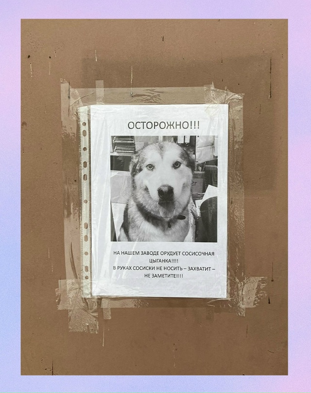 Пока читал, у меня сосиски из кастрюльки пропали