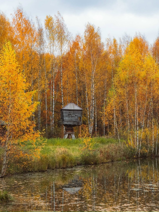 Костромская слобода 🇷🇺