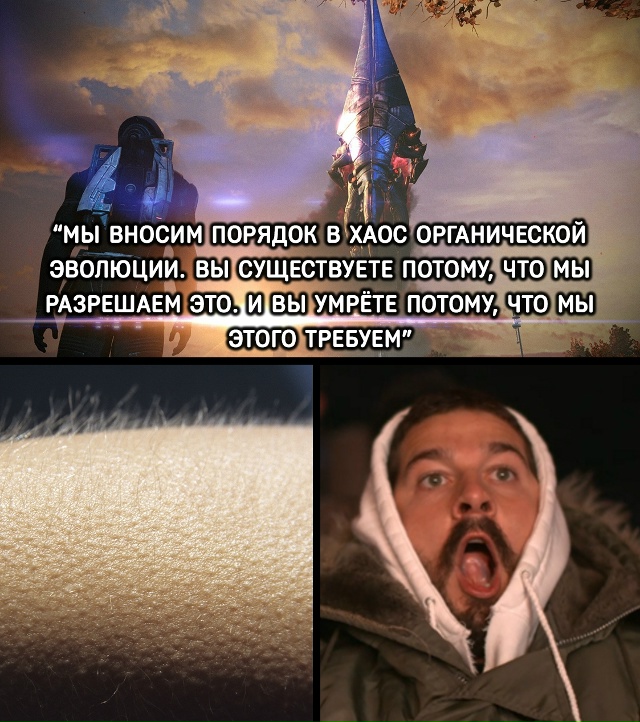 Какая цитата из игр вызывает у вас такие же эмоции?