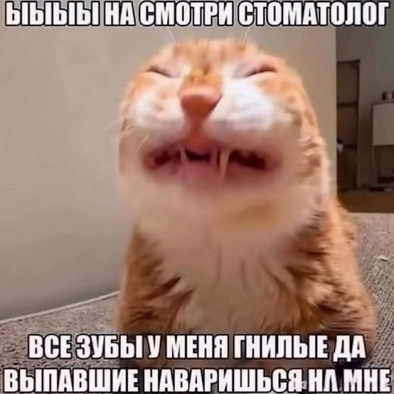 Утренняя подборочка
