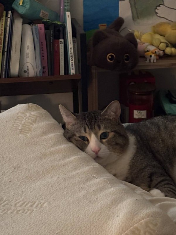 Ну када уже споть, я же жду тибя в кроватке :3