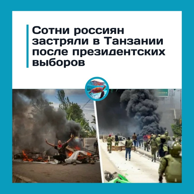 Российские туристы застряли в Танзании из-за массовых ...