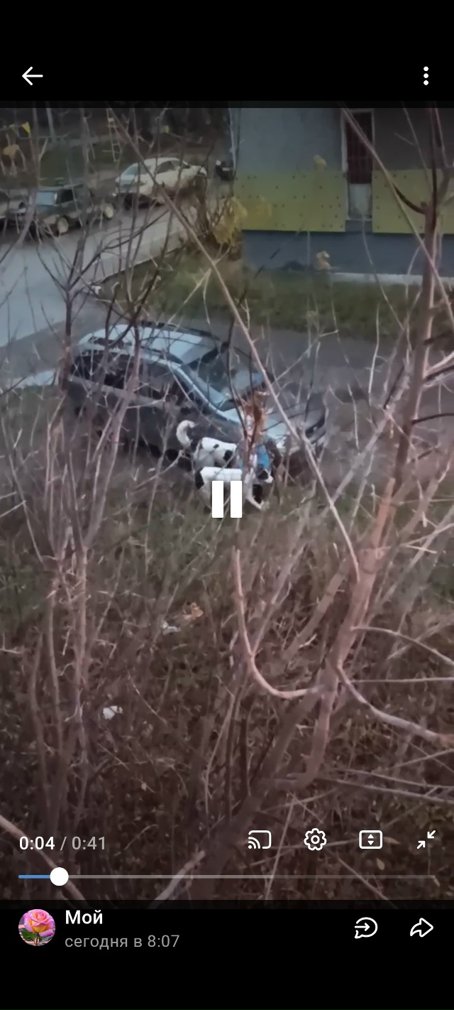 ‼️‼️Закамск! Хмельницкого 56! Будьте максимально ост?...