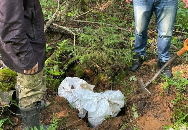 В лесу под Питером нашли огромную закладку весом 60 кил?...