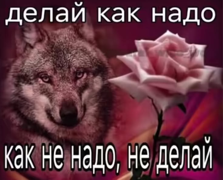когда в рецепте написано "запекайте до готовности" и "добавьте по вкусу"