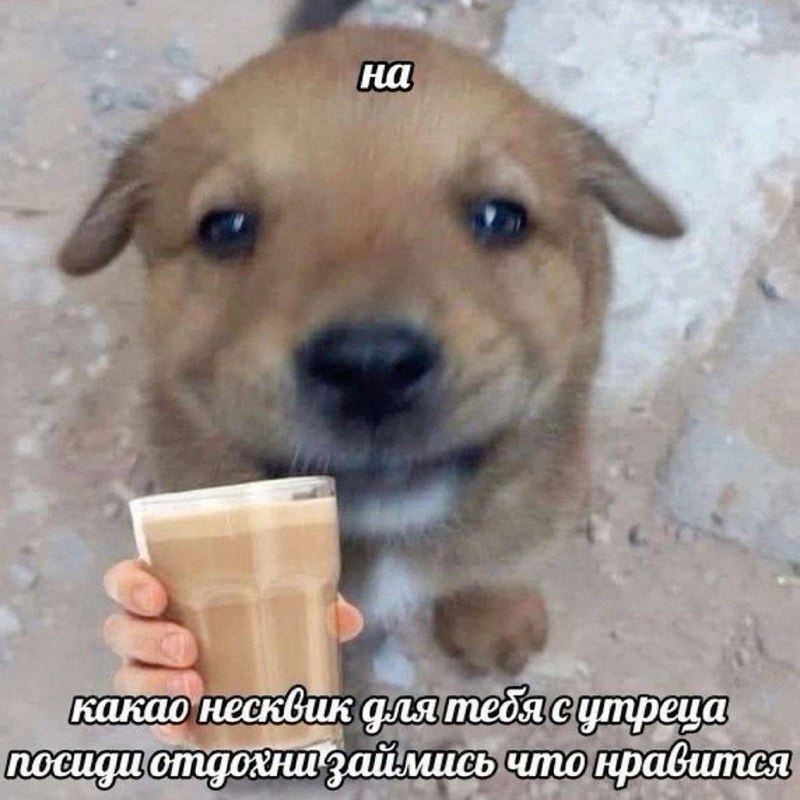 Утренняя подборочка