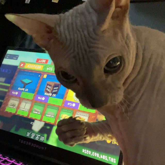 Всрато-подборка Арчибальда Коксовича