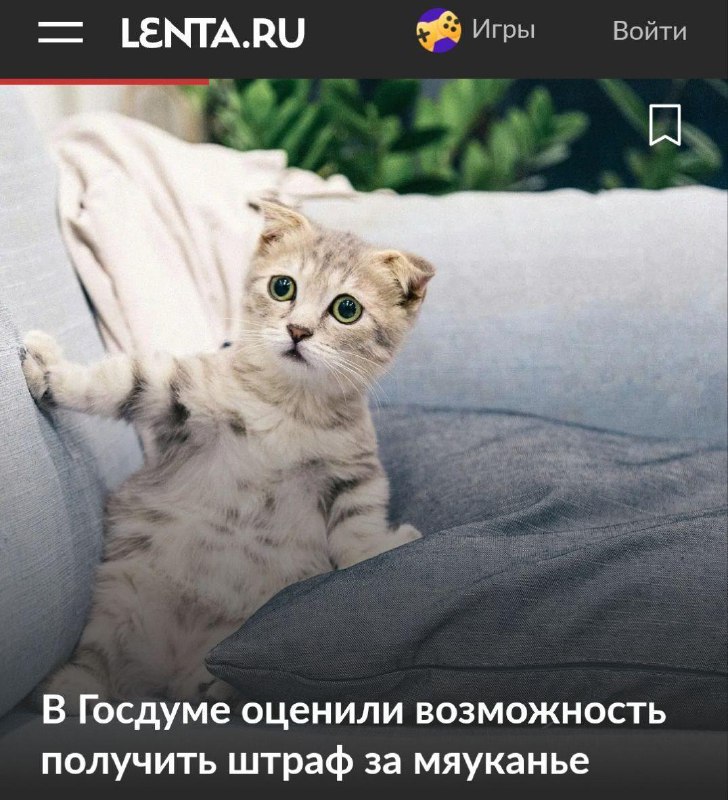— Так, мы уже придумали кучу штрафов, есть еще идеи?
— Мяу