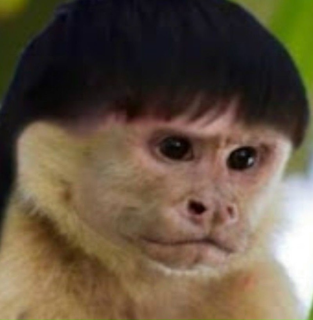 Пора бы уже наконец-то решиться и приобрести пельмени.