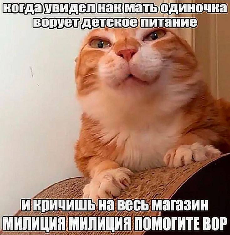 Утренняя подборочка