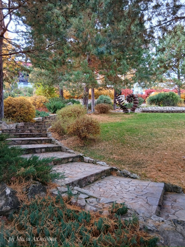 Впереди выходные, погода без дождя.🌤 Прекрасная возмо...