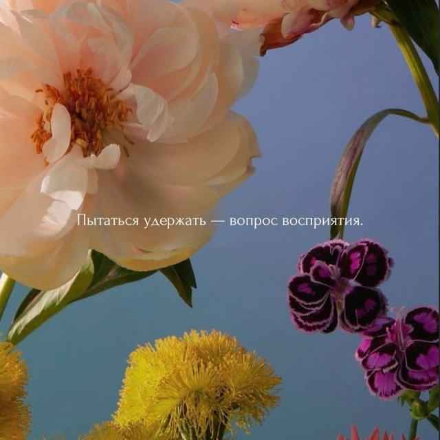 Коротко и по факту😅