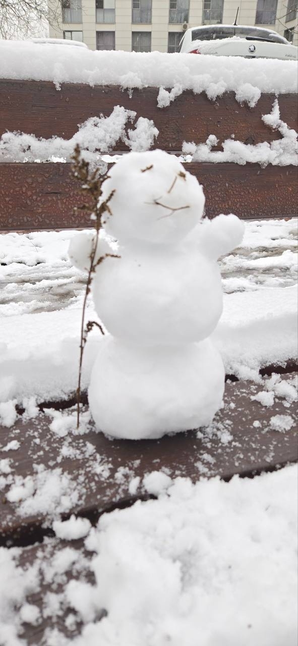 Ловите подборку первых зимних снеговиков
Часть из ни...