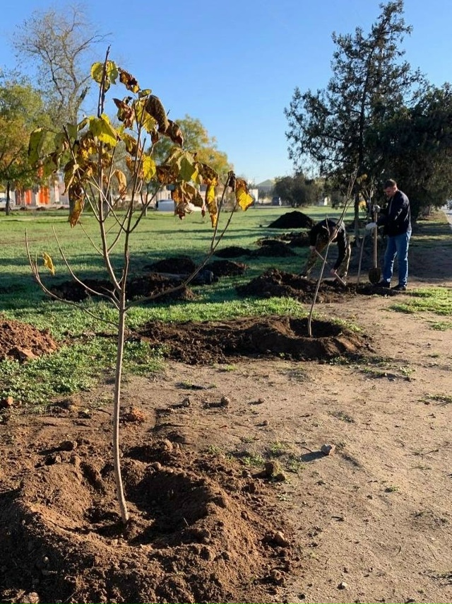 Вместе с евпаторийской молодежью, коллегами из админи?...
