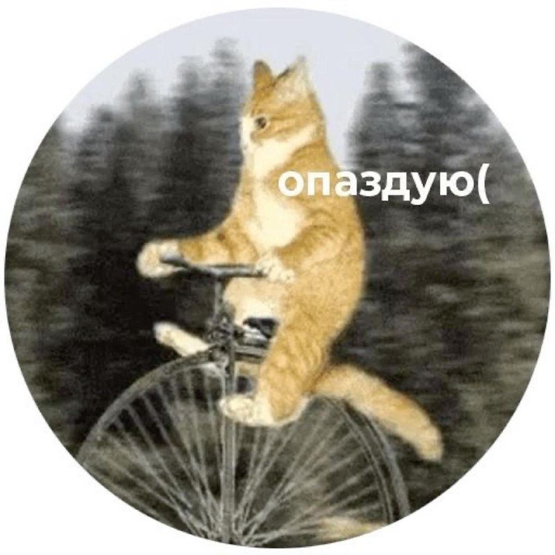 Сегодня отмечается День опозданий — праздник, когда задержаться куда угодно можно почти официально.