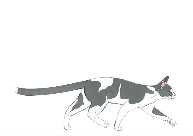 Летунья, Тучезвезд, Яролика, Ледошерстка, Медуница, Куд...