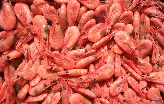 Минсельхоз утвердил допустимый улов морепродуктов в Б...