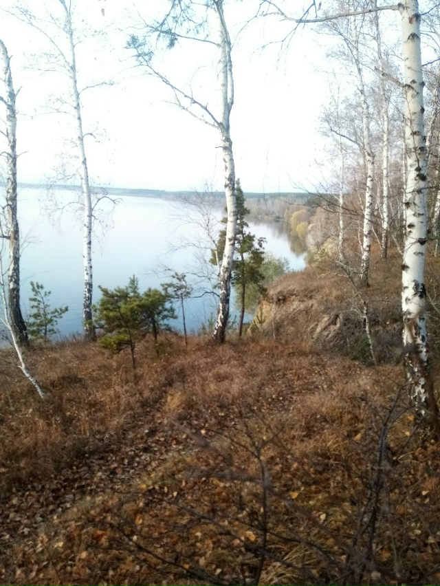 Немного позитива в ленту.На снимках-подборка №2 ,краси?...